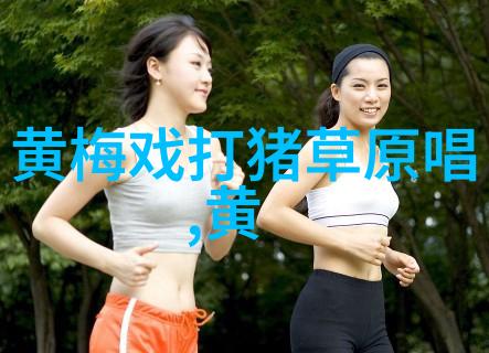 黄梅戏借官记