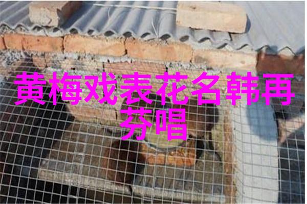黄梅戏演员潘玲玲介绍