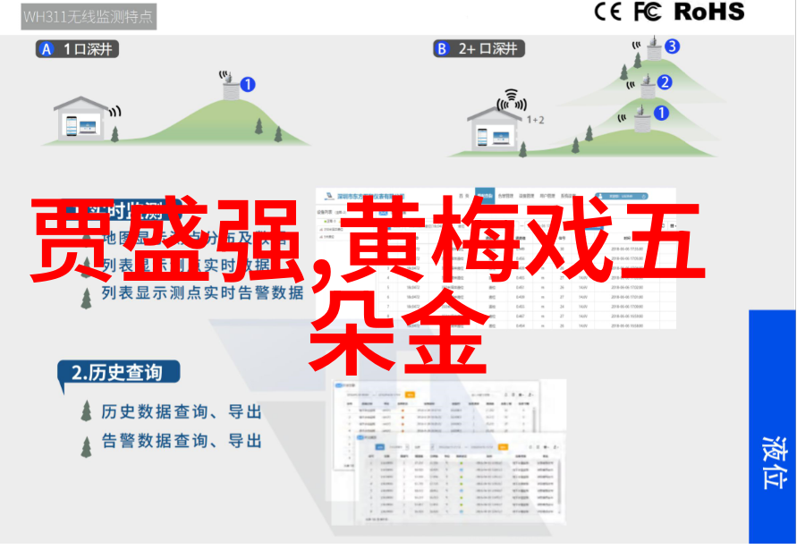 韩再芬 黄梅戏旦行演员 韩再芬