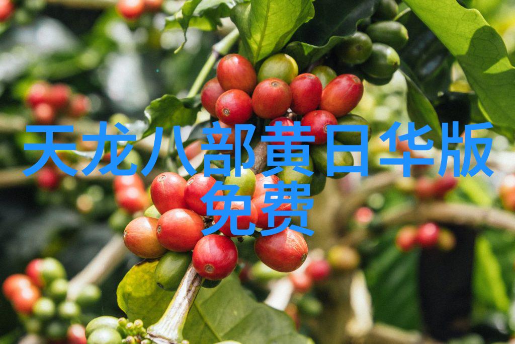 新创黄梅戏舞台剧大清名相下周亮相合肥