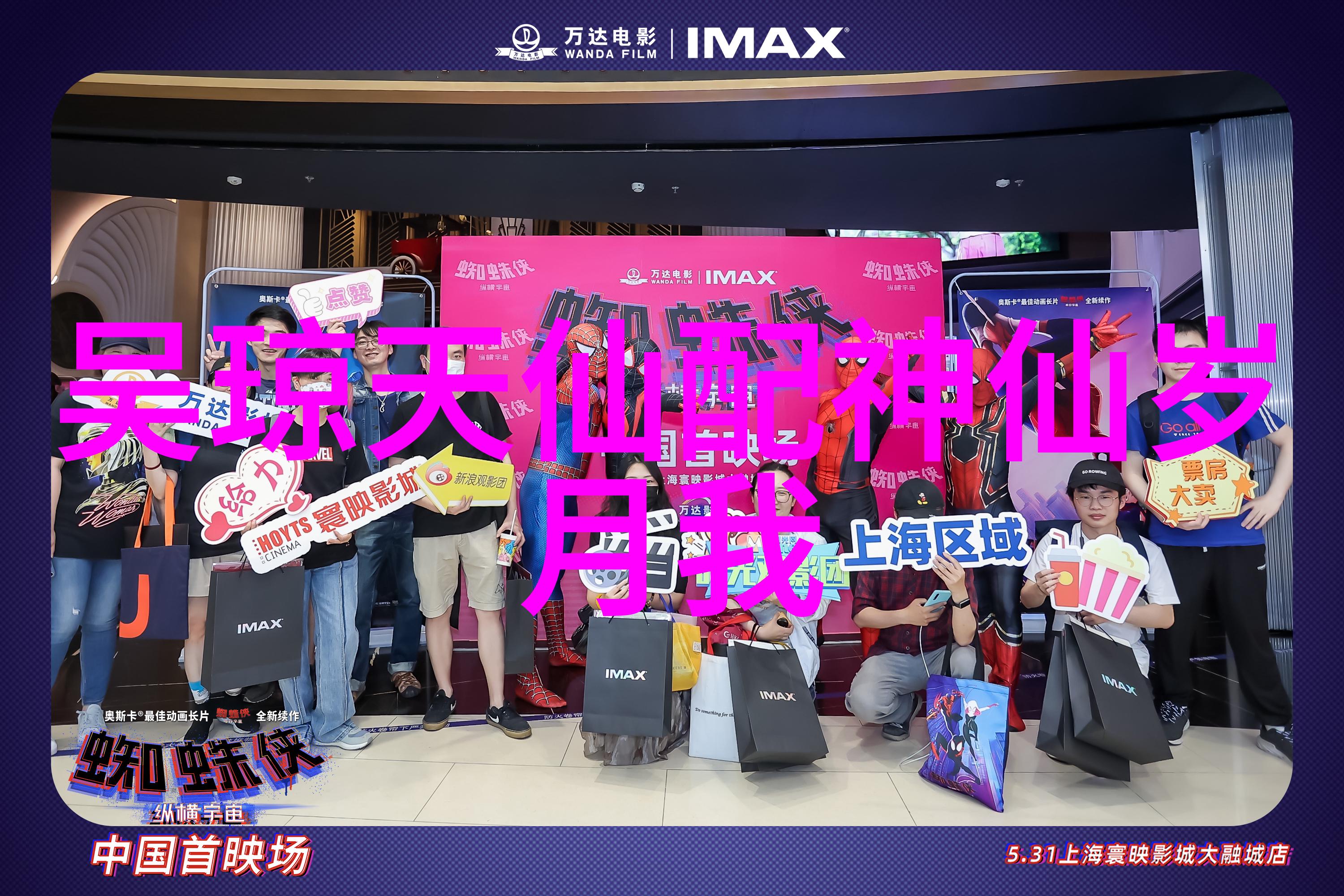 黄梅戏演员王梦君介绍