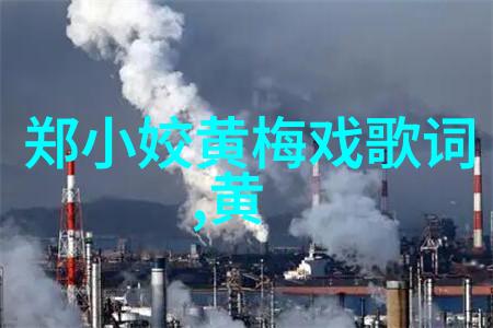 黄梅戏演员周源源介绍