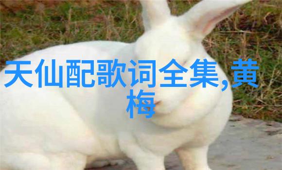 黄梅戏点大麦