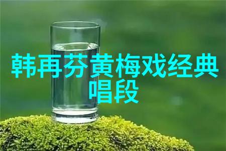 邓新生严凤英黄梅戏之春