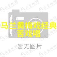 黄梅戏演员周海峰介绍