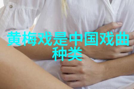 黄梅戏在湖北的发展