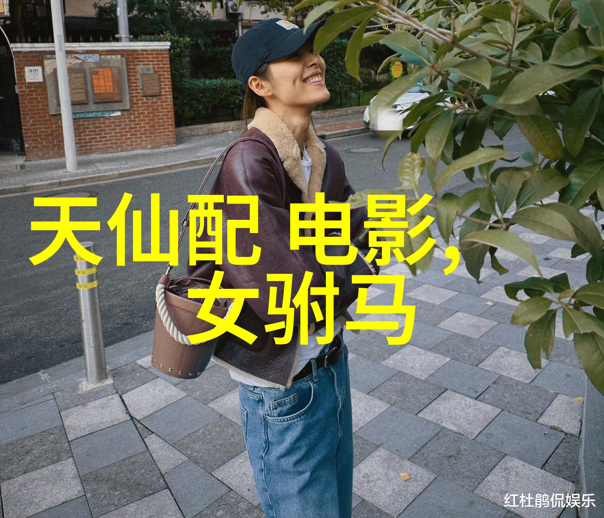 黄梅戏黄山情