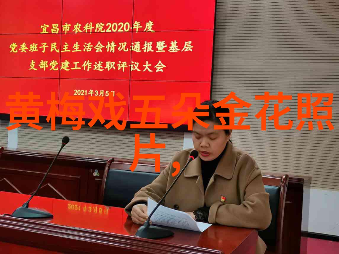 黄梅戏演员江帅介绍