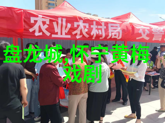 黄梅戏在安庆的发展