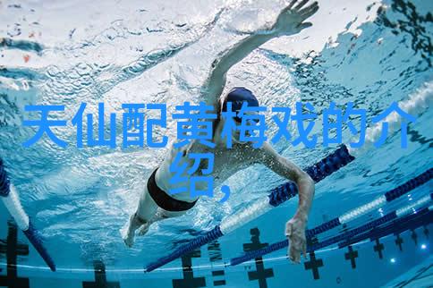 黄梅戏未了情