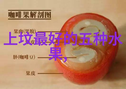 再芬黄梅大讲堂2016年首场讲座成功举办