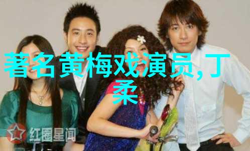 黄梅戏演员梅院军介绍
